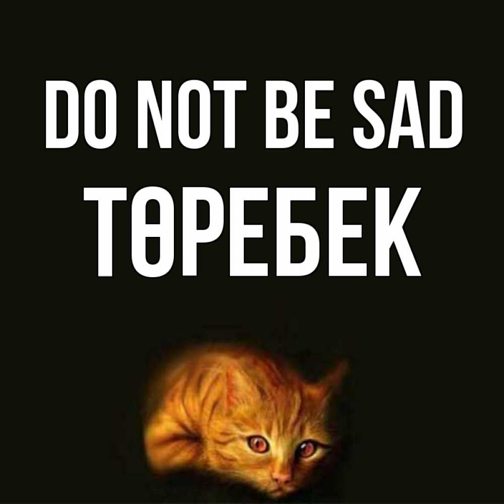 Greetings card с именем, ТӨРЕБЕК Do not be sad лежащий кот в темноте Greetings with text for free download 