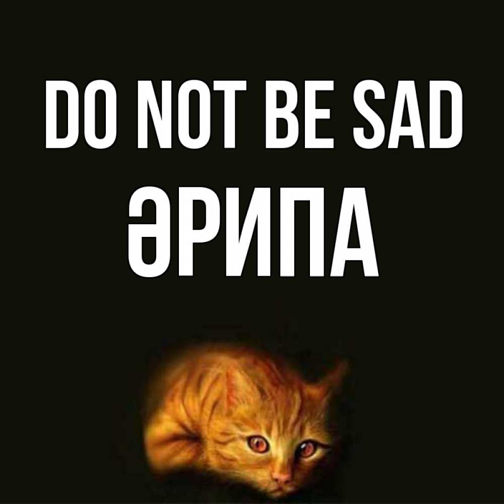 Greetings card с именем, ӘРИПА Do not be sad лежащий кот в темноте Greetings with text for free download 