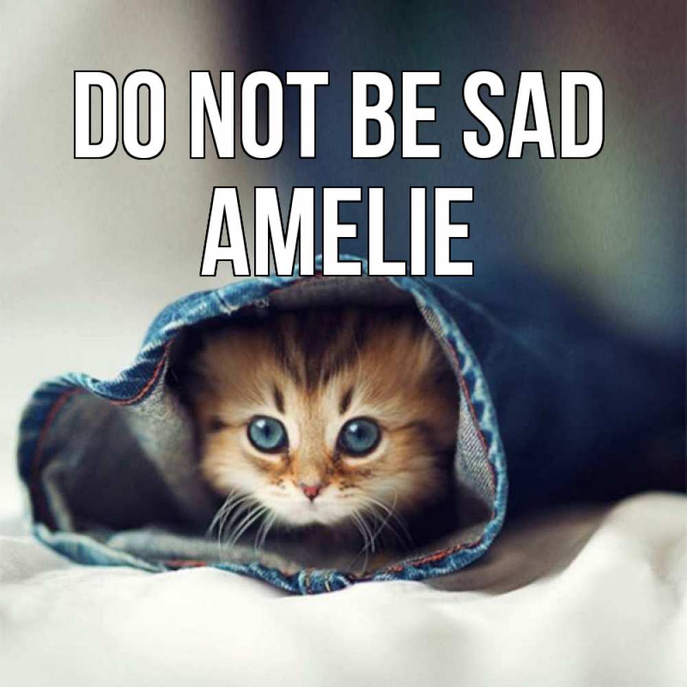 Greetings card с именем, Amelie Do not be sad кот в одежде Greetings with text for free download 