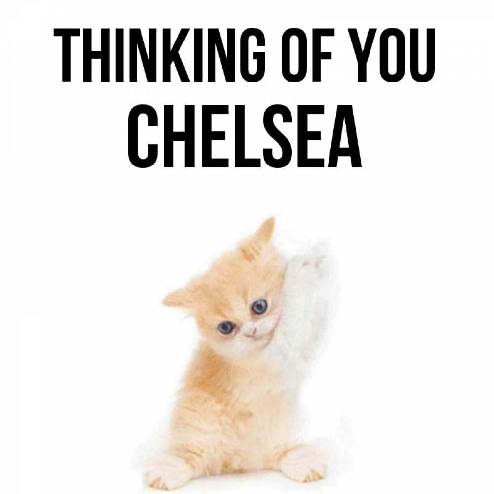 Greetings card с именем, Chelsea Thinking of you зверушки и милота Greetings with text for free download 