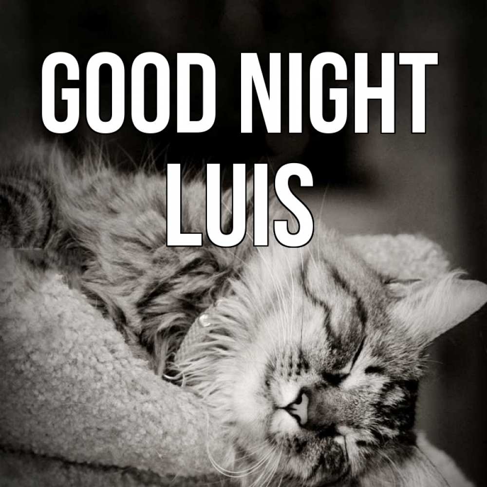 Greetings card с именем, Luis Good night котярик пушистый Greetings with text for free download 
