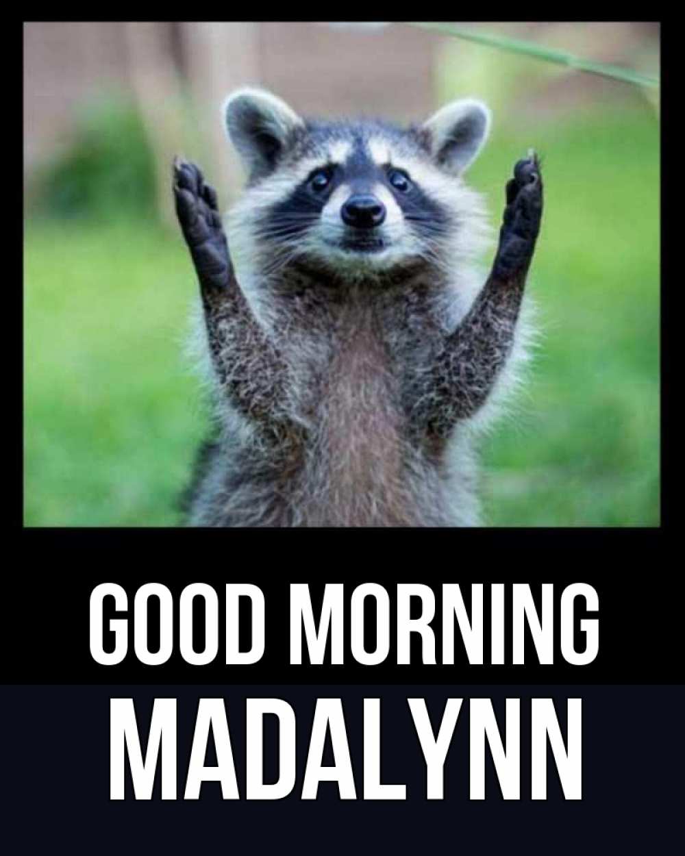 Greetings card с именем, Madalynn Good morning хорошее настроение утречком Greetings with text for free download 