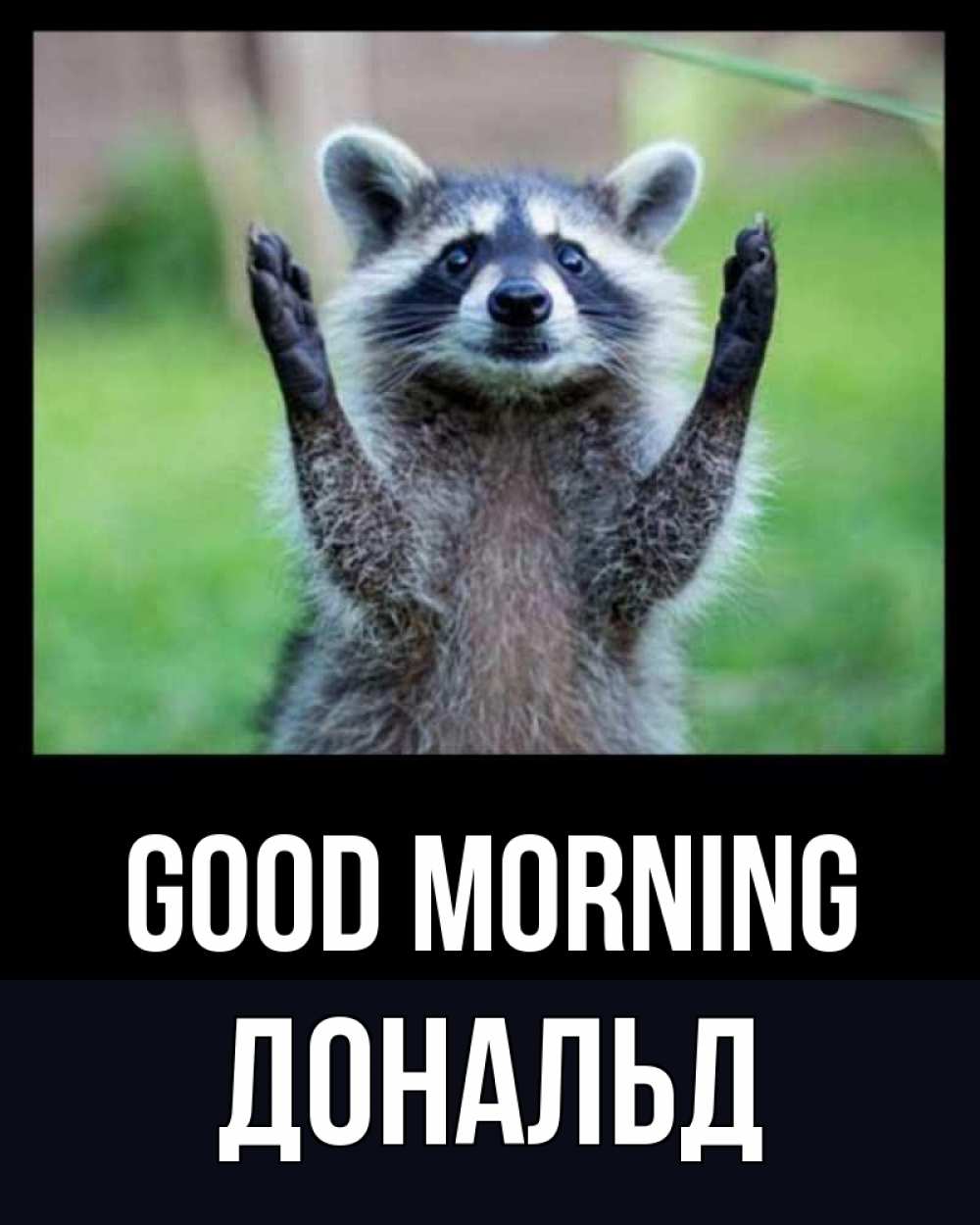 Greetings card с именем, Дональд Good morning хорошее настроение утречком Greetings with text for free download 