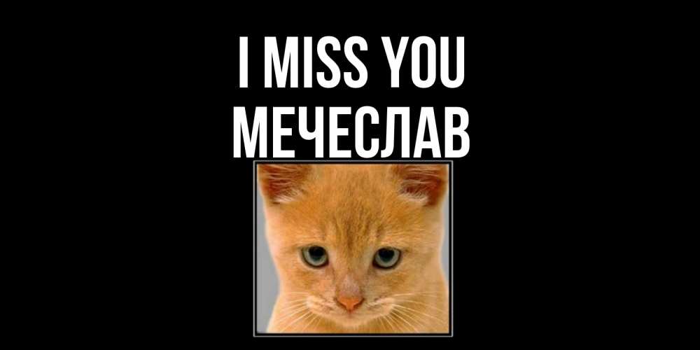 Greetings card с именем, Мечеслав I miss you открытки рыжий котенок скучает по тебе Greetings with text for free download 