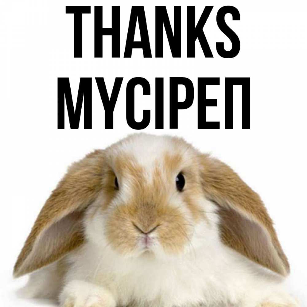 Greetings card с именем, МҮСІРЕП Thanks коричнево белый заяц Greetings with text for free download 