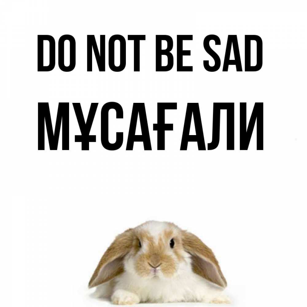 Greetings card с именем, Мұсағали Do not be sad коричнево белый заяц с большими ушками Greetings with text for free download 