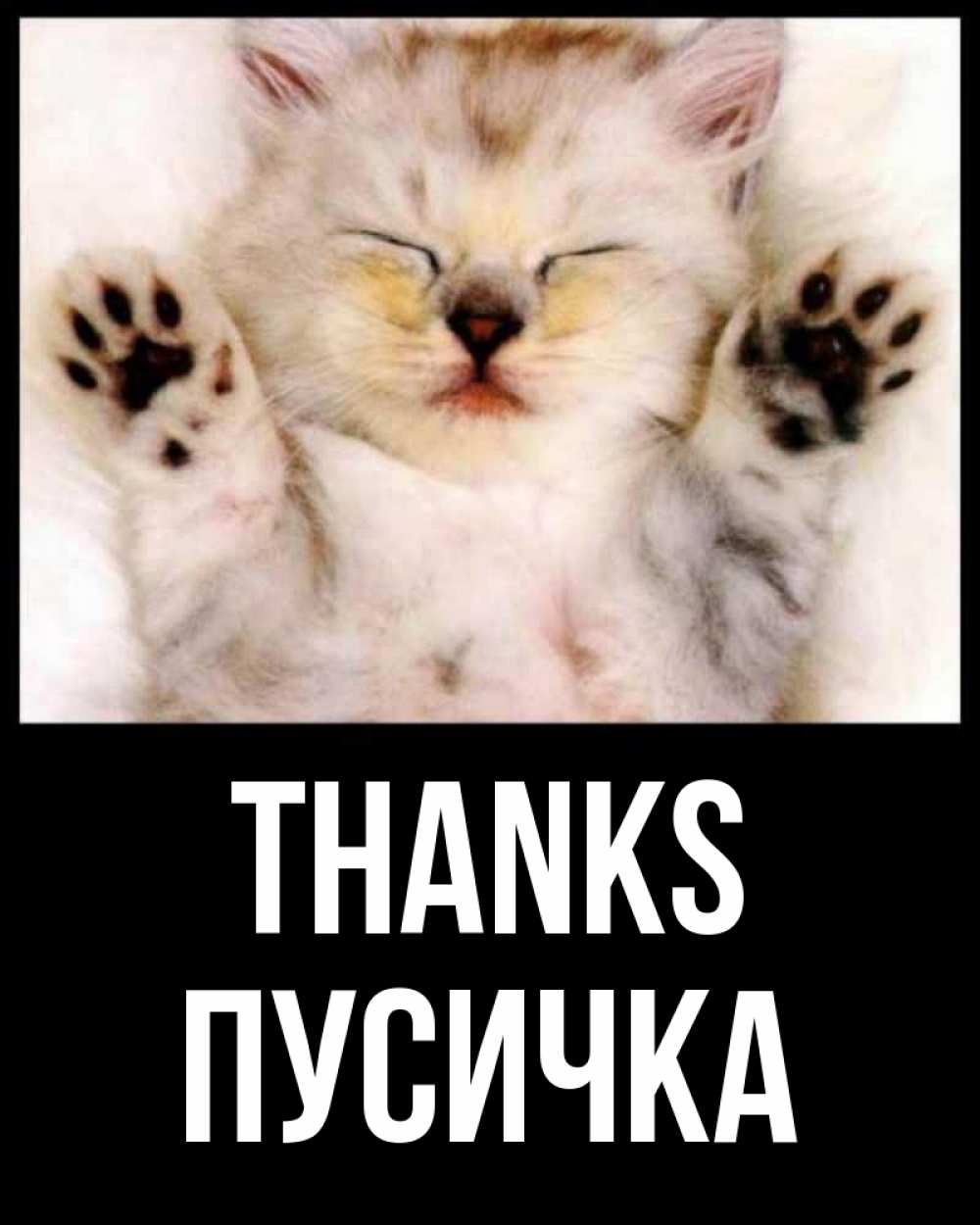 Greetings card с именем, Пусичка Thanks маленький котенок Greetings with text for free download 