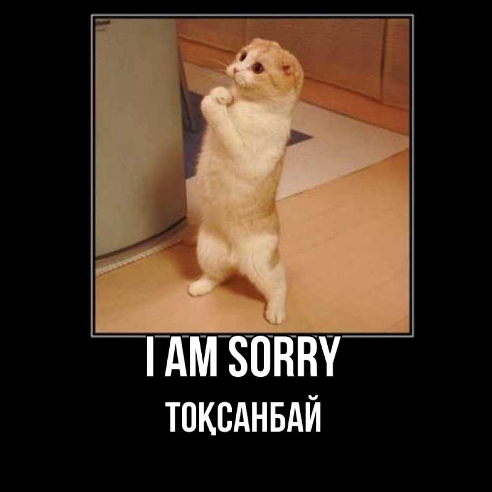 Greetings card с именем, ТОҚСАНБАЙ I am sorry открытка с милым несчастным котиком просящим прощения Greetings with text for free download 