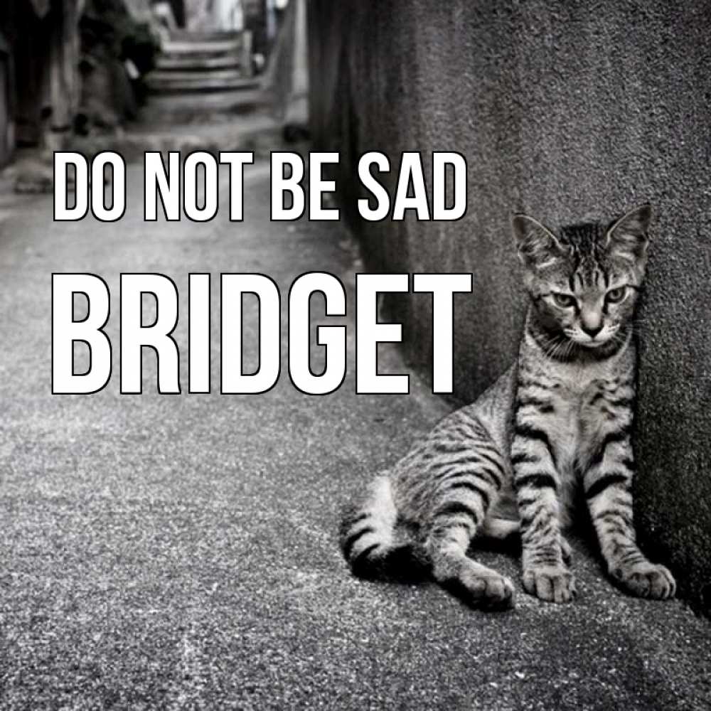 Greetings card с именем, Bridget Do not be sad скучающий котик Greetings with text for free download 