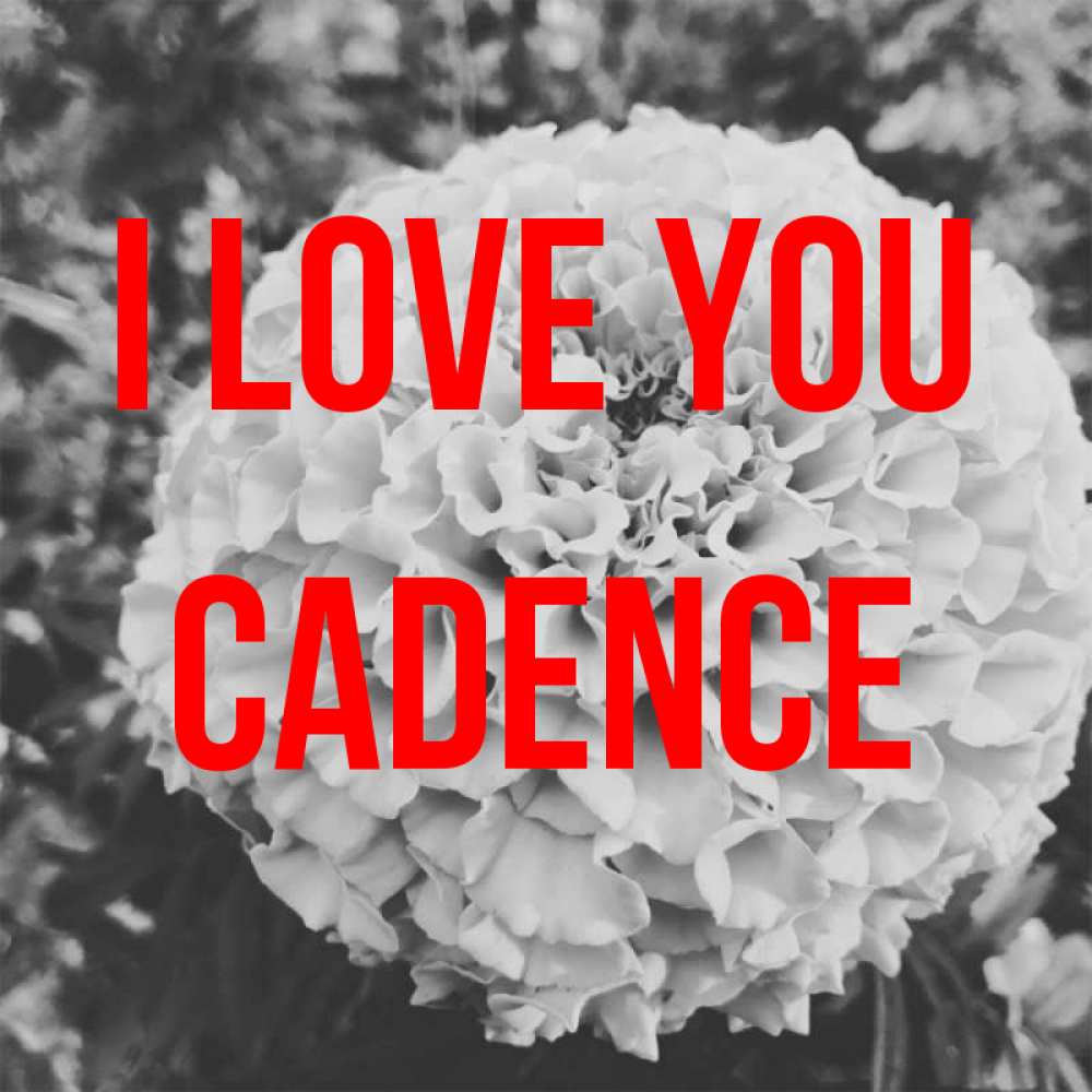 Greetings card с именем, Cadence I love you подпись Greetings with text for free download 