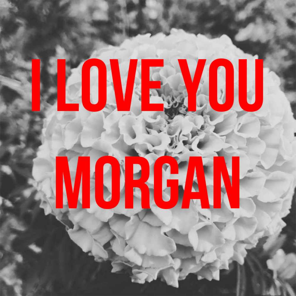 Greetings card с именем, Morgan I love you подпись Greetings with text for free download 