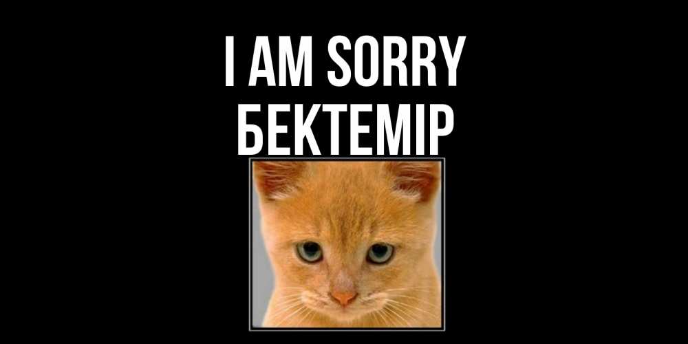 Greetings card с именем, Бектемір I am sorry рыжий грустный кот просит прощения Greetings with text for free download 