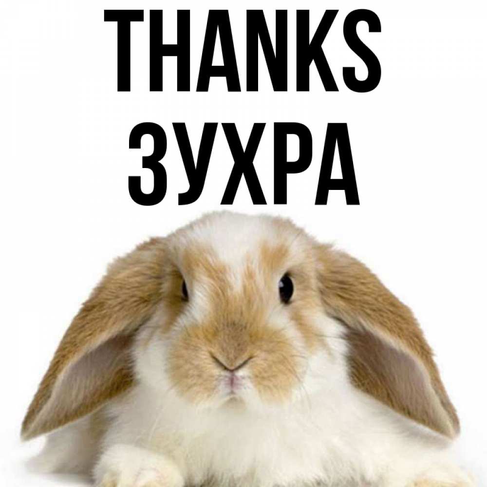 Greetings card с именем, Зухра Thanks коричнево белый заяц Greetings with text for free download 