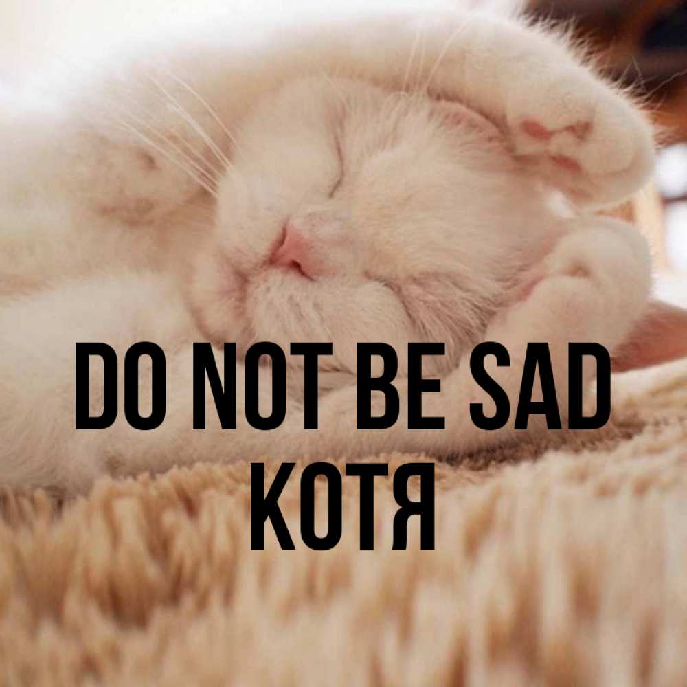 Greetings card с именем, Котя Do not be sad Котенок спит Greetings with text for free download 