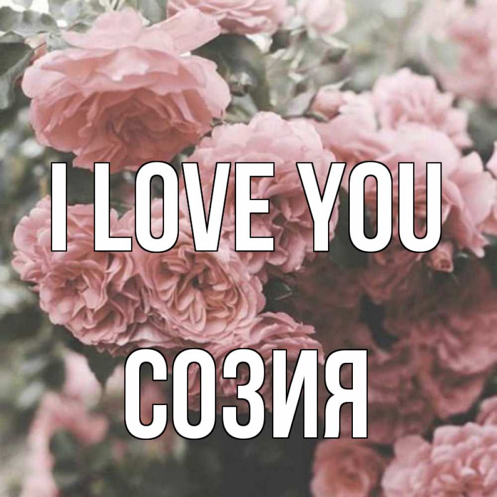 Greetings card с именем, Созия I love you розы 3 Greetings with text for free download 