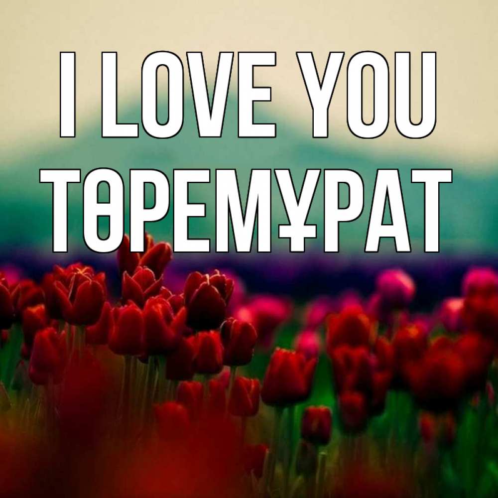Greetings card с именем, Төремұрат I love you тюльпаны 4 Greetings with text for free download 