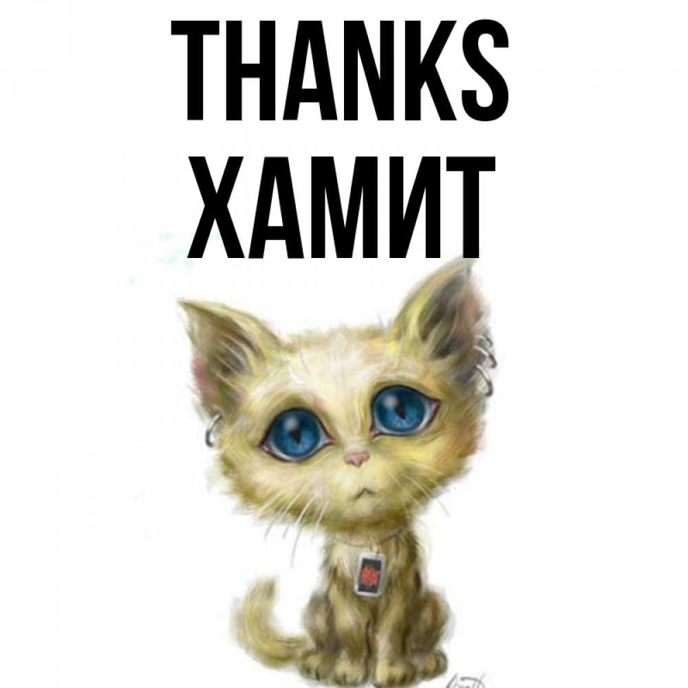 Greetings card с именем, ХАМИТ Thanks рисованный кот благодарит вас Greetings with text for free download 