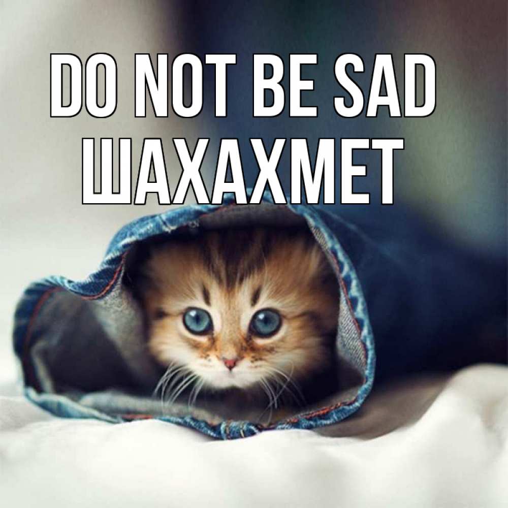 Greetings card с именем, ШАХАХМЕТ Do not be sad рыжик котик Greetings with text for free download 