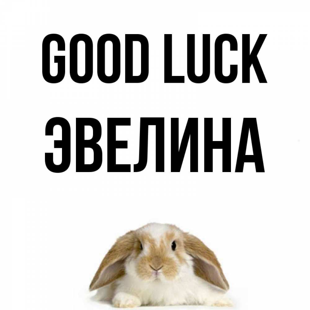 Greetings card с именем, Эвелина Good luck открытки с произвольным текстом который можно вставить в открытку и создать ее самостоятельно бесплатно онлайн Greetings with text for free download 