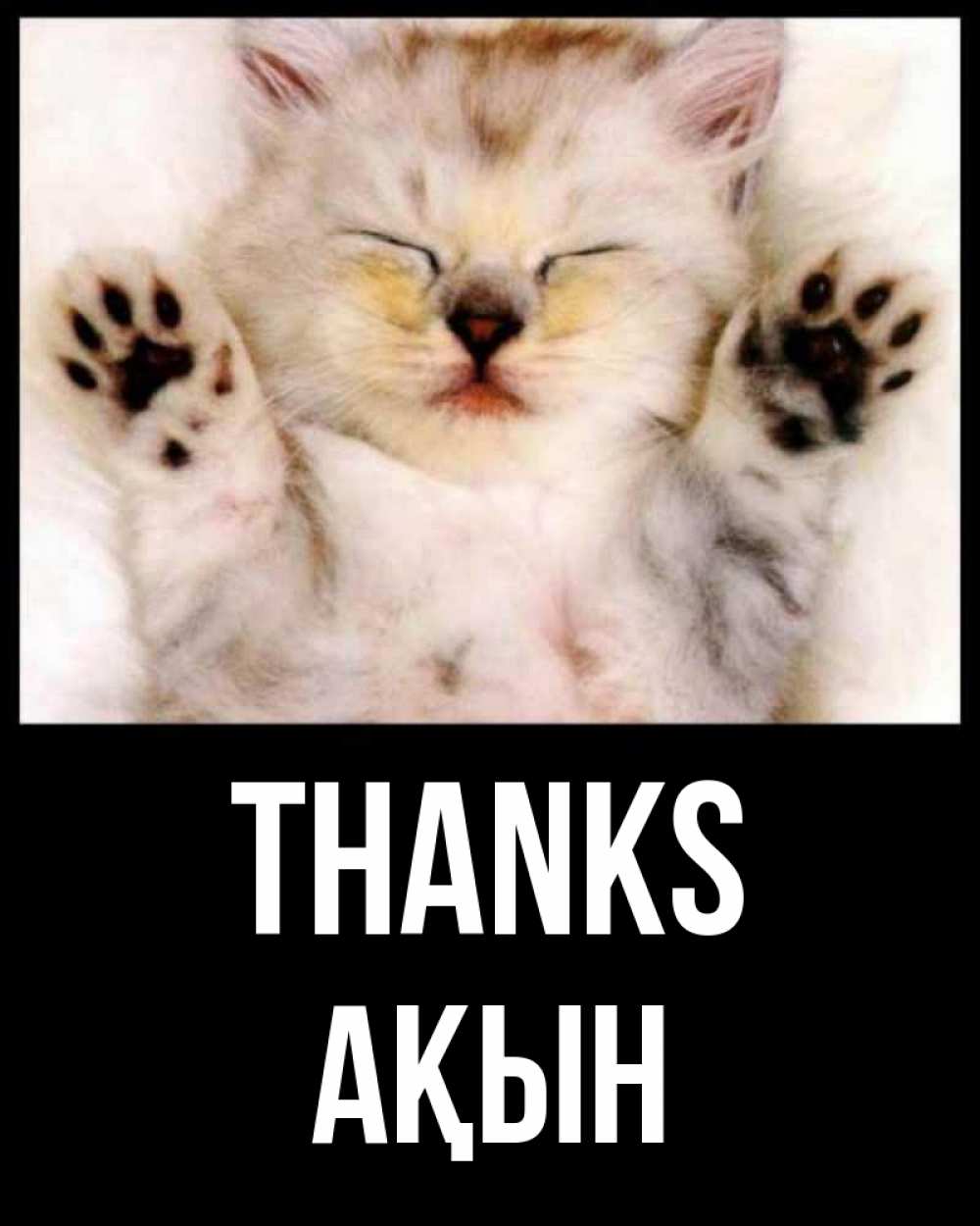 Greetings card с именем, Ақын Thanks маленький котенок Greetings with text for free download 