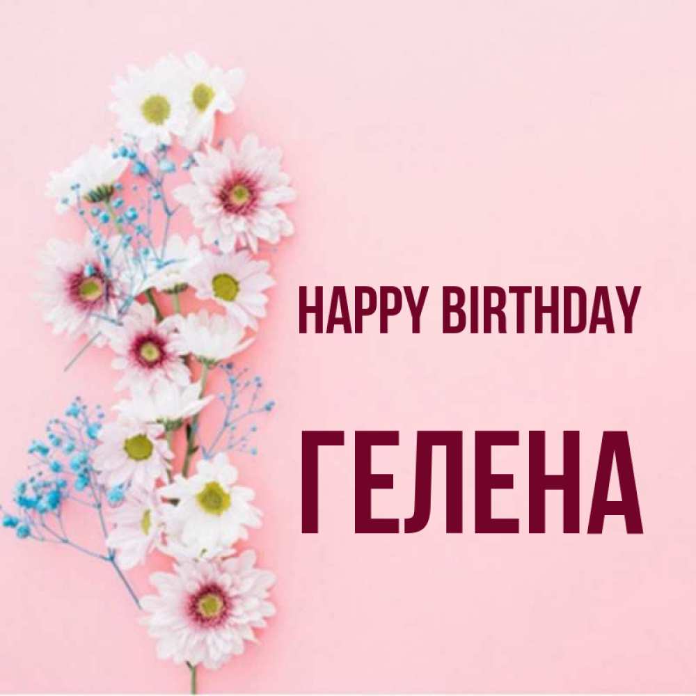 Greetings card с именем, Гелена Happy Birthday Родная моя с днем рождения тебя картинка с цветами белыми и голубыми Greetings with text for free download 