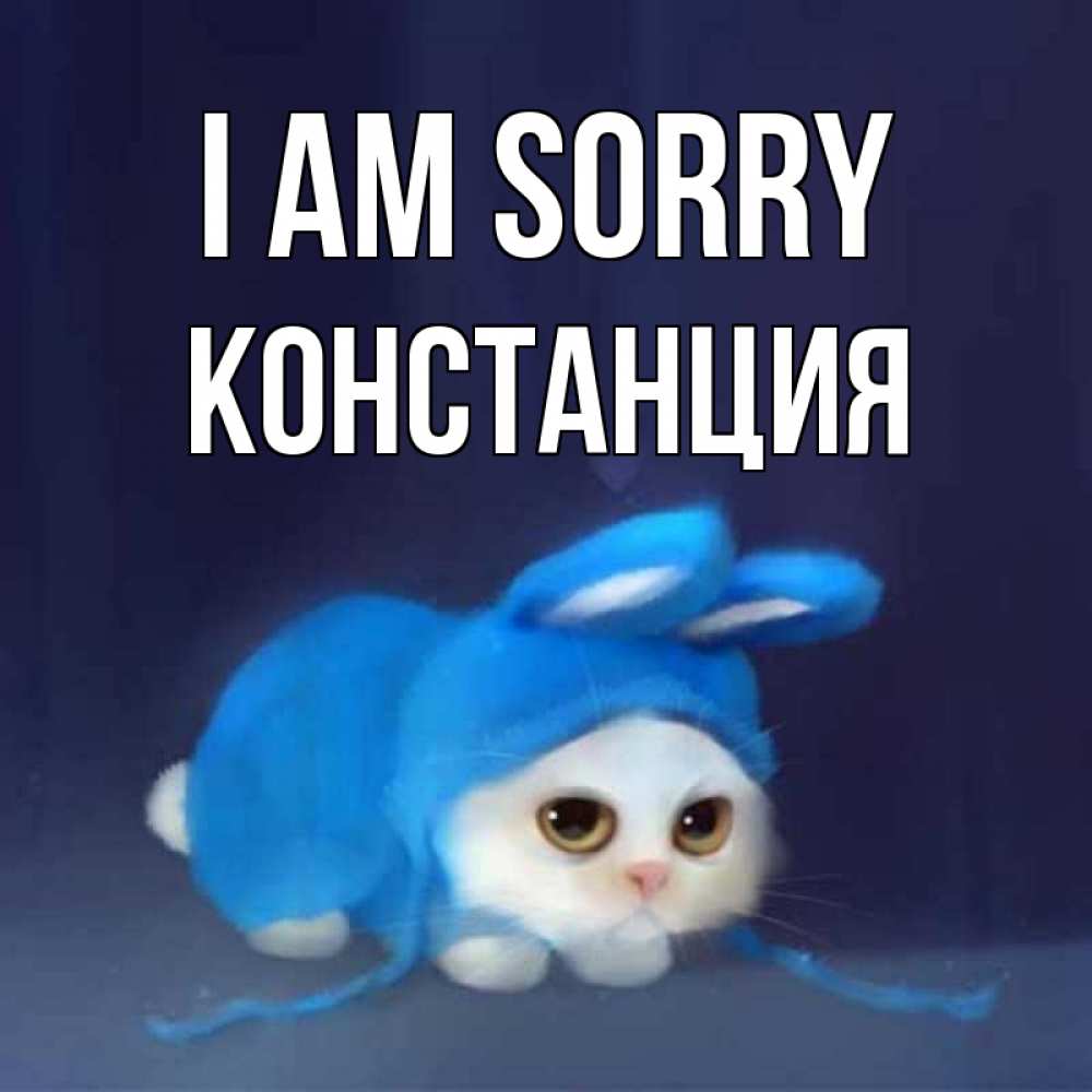 Greetings card с именем, Констанция I am sorry невинный котозай просит прощения Greetings with text for free download 
