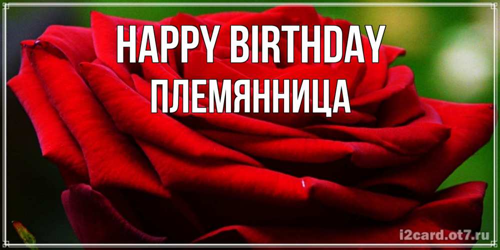 Greetings card с именем, Племянница Happy Birthday розочка очень красивая Greetings with text for free download 