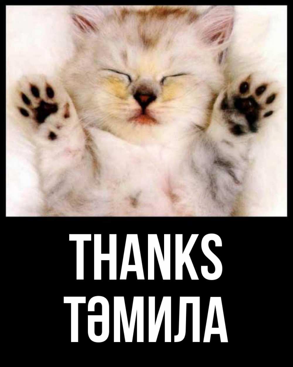 Greetings card с именем, ТӘМИЛА Thanks маленький котенок Greetings with text for free download 