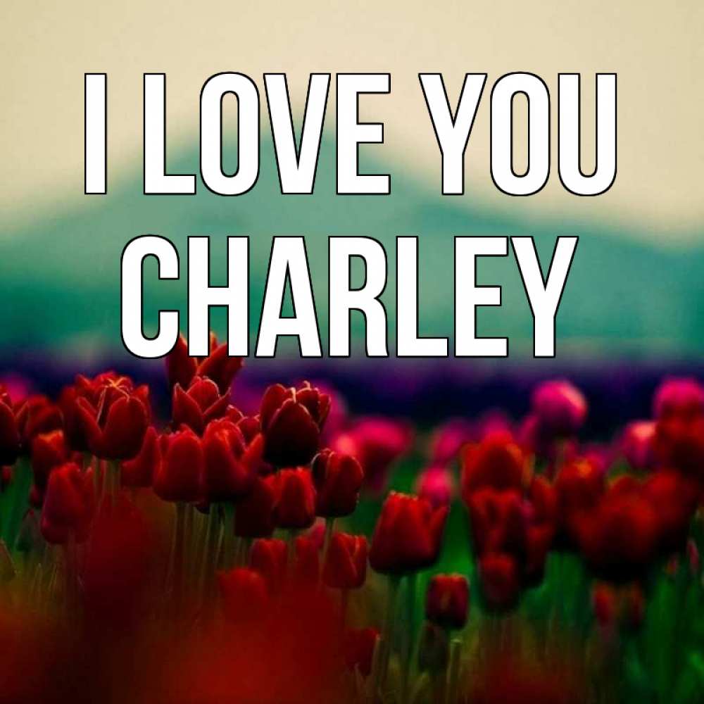 Greetings card с именем, Charley I love you тюльпаны 4 Greetings with text for free download 