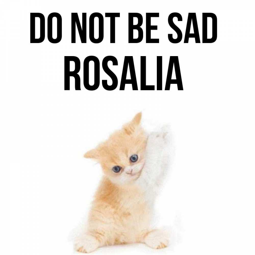 Greetings card с именем, Rosalia Do not be sad просящий кот Greetings with text for free download 