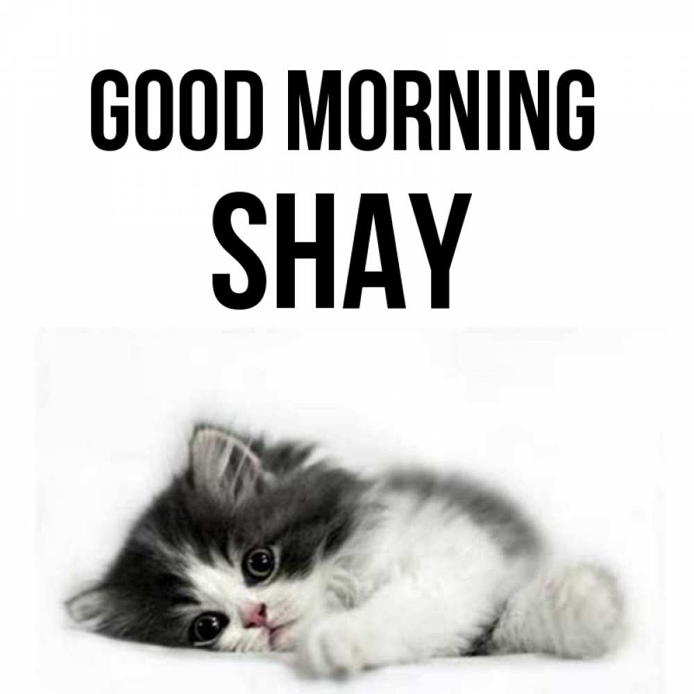Greetings card с именем, Shay Good morning кот лапки Greetings with text for free download 