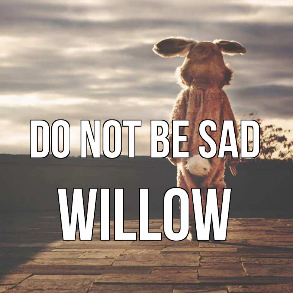 Greetings card с именем, Willow Do not be sad со спины Greetings with text for free download 