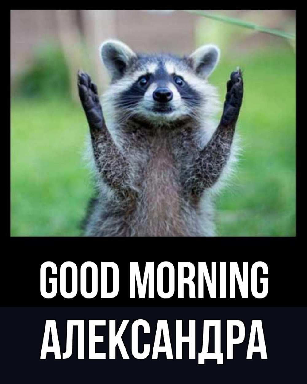 Greetings card с именем, Александра Good morning хорошее настроение утречком Greetings with text for free download 