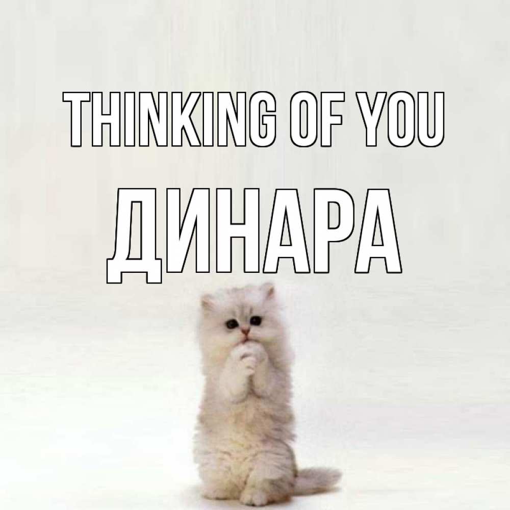 Greetings card с именем, ДИНАРА Thinking of you кот стоит на задних лапах Greetings with text for free download 