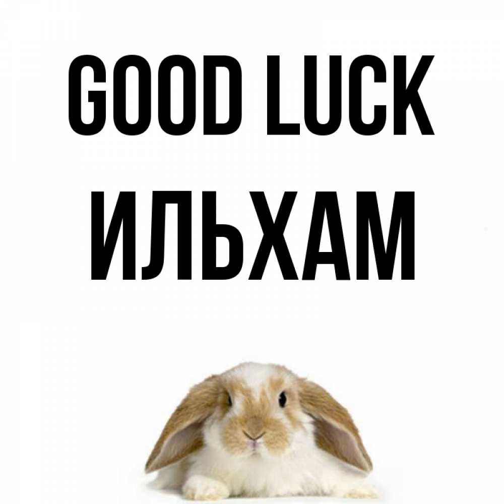 Greetings card с именем, Ильхам Good luck открытки с произвольным текстом который можно вставить в открытку и создать ее самостоятельно бесплатно онлайн Greetings with text for free download 