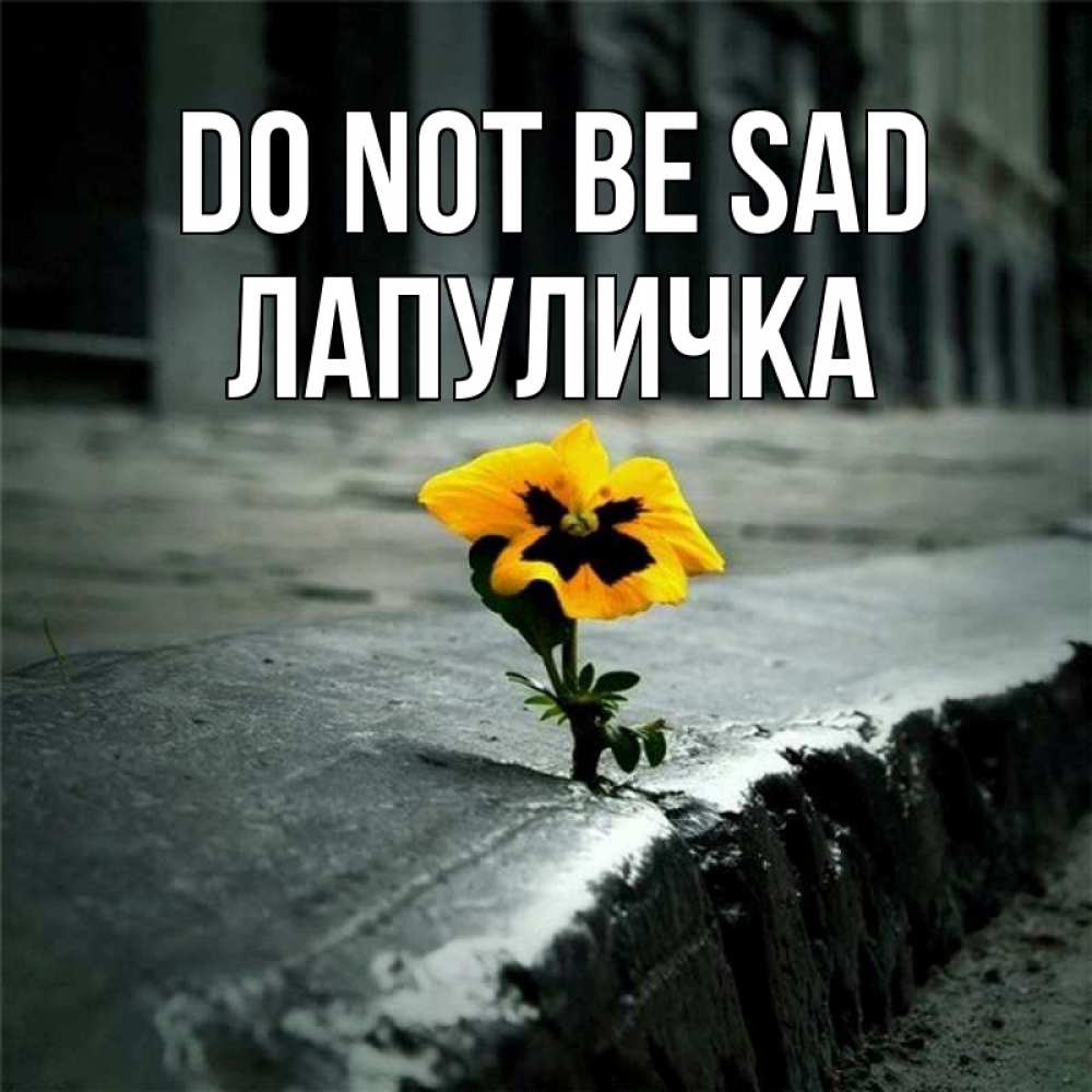 Greetings card с именем, Лапуличка Do not be sad не сдавайся Greetings with text for free download 