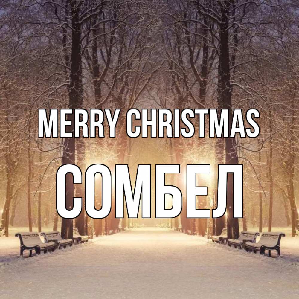 Greetings card с именем, СОМБЕЛ Merry Christmas зима, парк, фонарь, лес Greetings with text for free download 