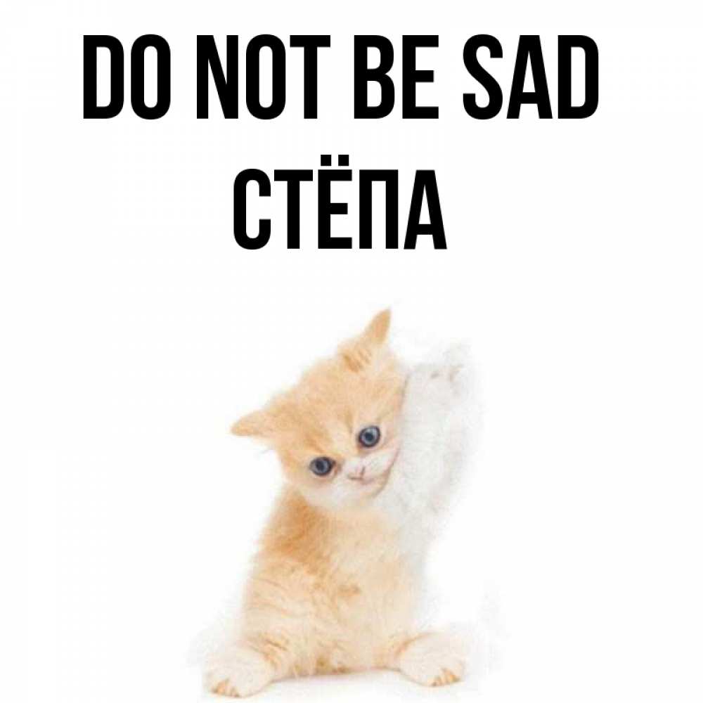 Greetings card с именем, Стёпа Do not be sad просящий кот Greetings with text for free download 