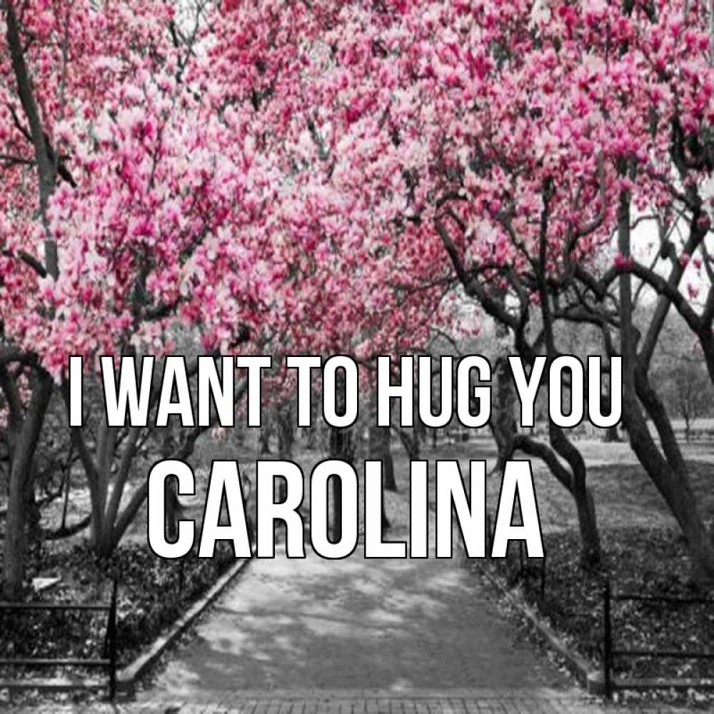 Greetings card с именем, Carolina I want to hug you обработанное фото Greetings with text for free download 