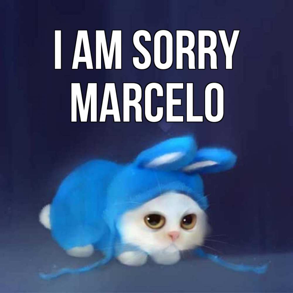 Greetings card с именем, Marcelo I am sorry невинный котозай просит прощения Greetings with text for free download 