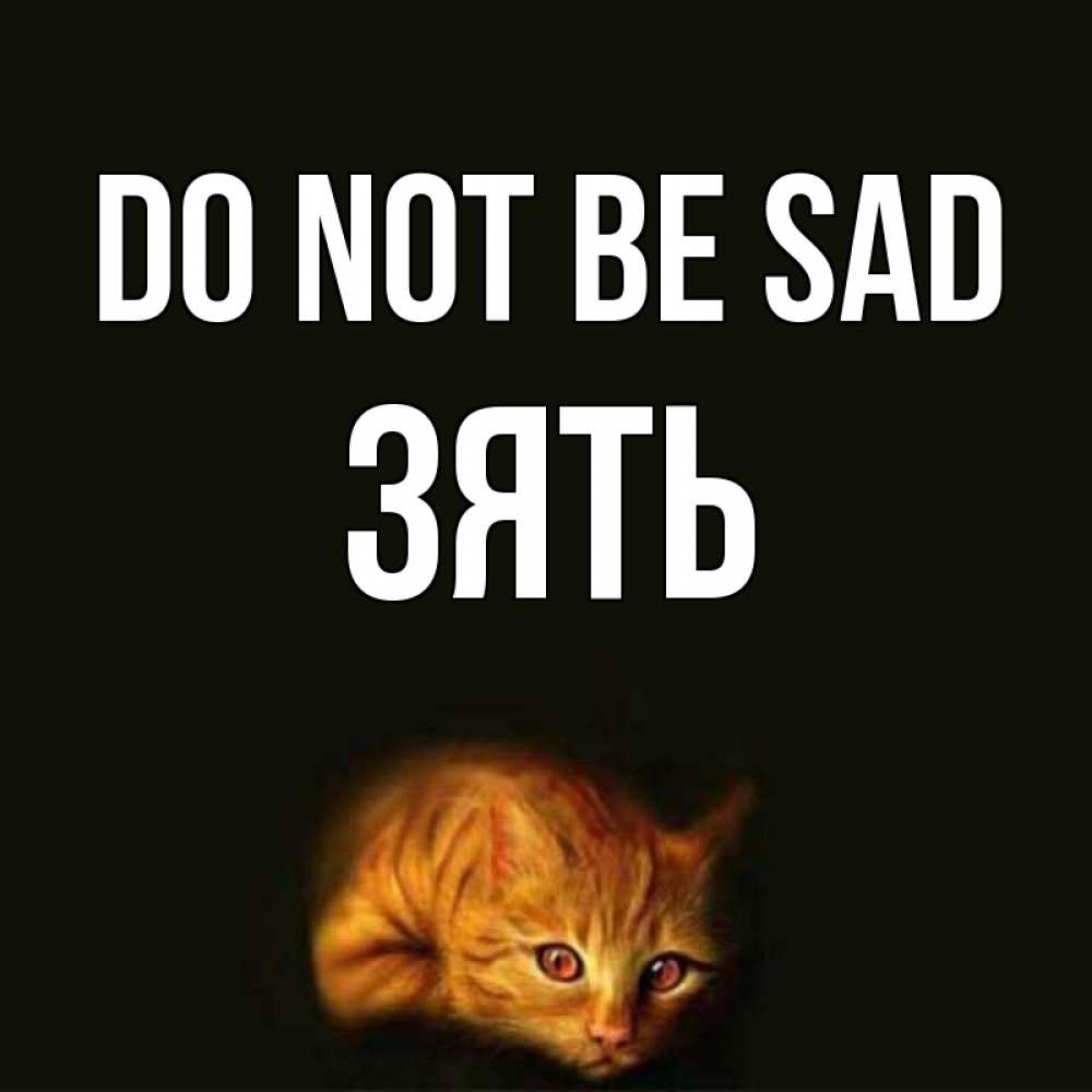 Greetings card с именем, Зять Do not be sad лежащий кот в темноте Greetings with text for free download 