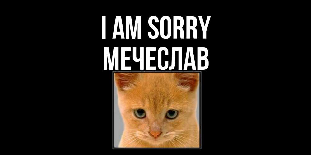 Greetings card с именем, Мечеслав I am sorry рыжий грустный кот просит прощения Greetings with text for free download 