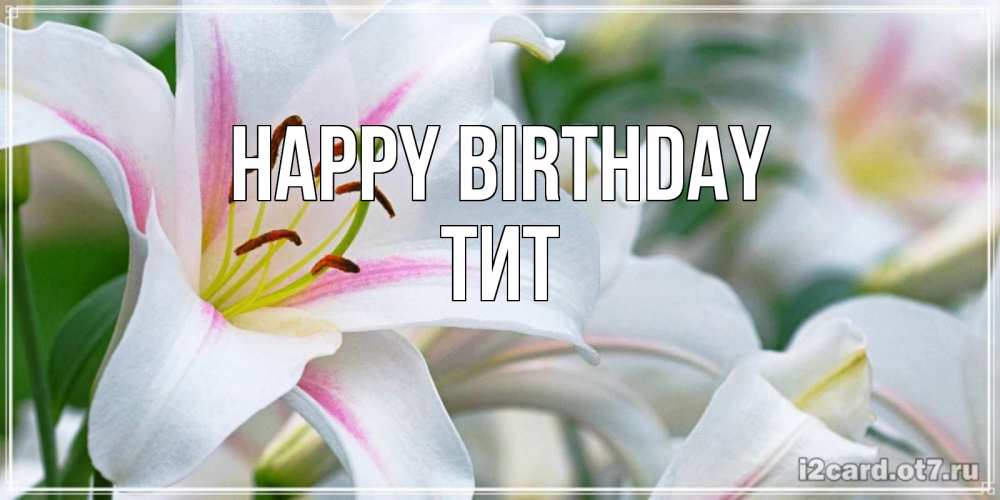 Greetings card с именем, Тит Happy Birthday открытка с белой лилией Greetings with text for free download 