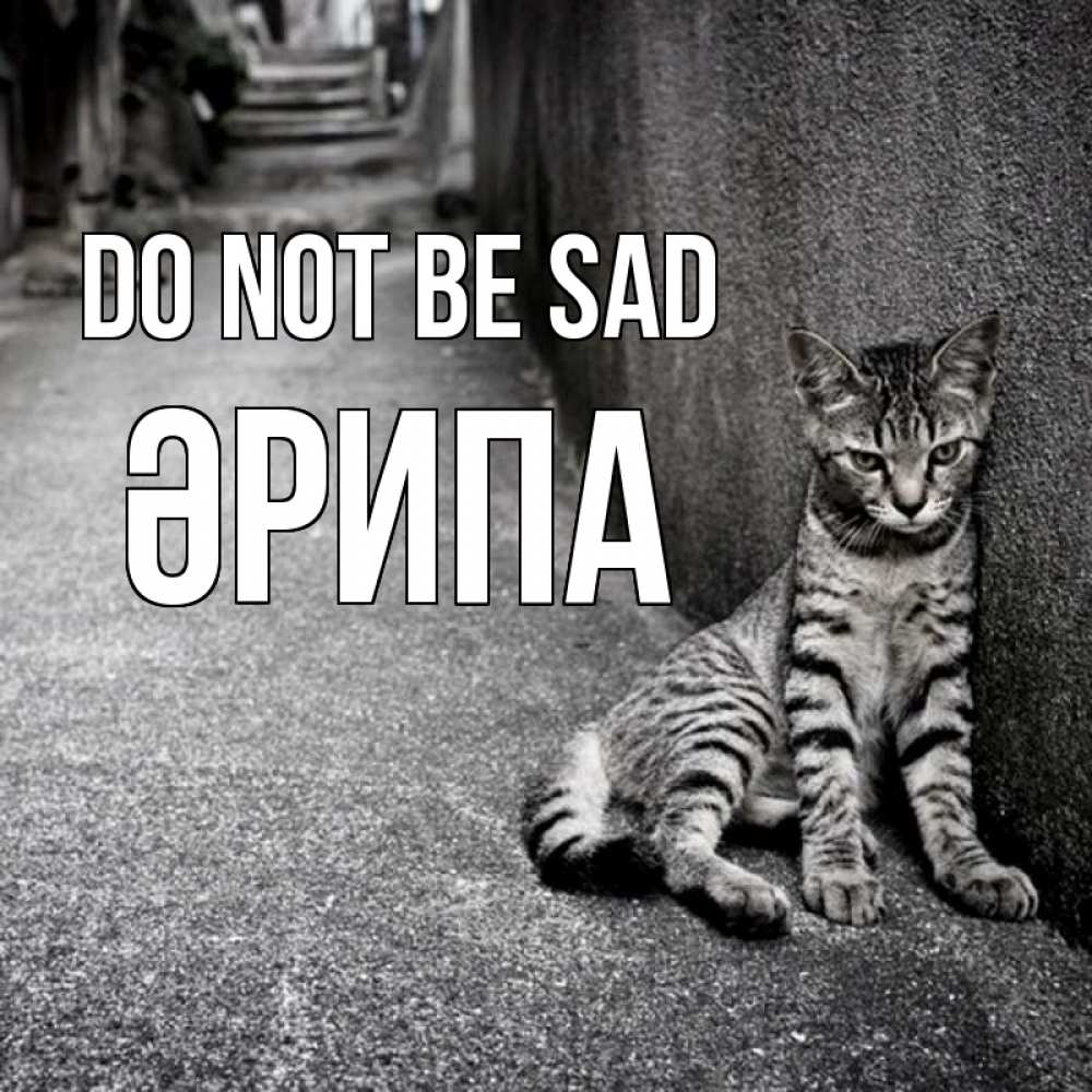 Greetings card с именем, ӘРИПА Do not be sad скучающий котик Greetings with text for free download 