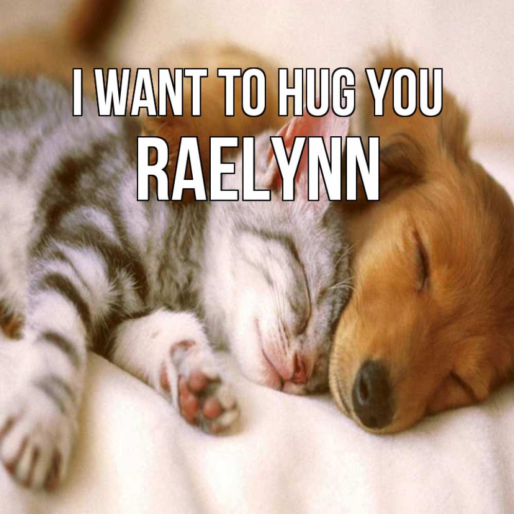 Greetings card с именем, Raelynn I want to hug you пес и котенок Greetings with text for free download 