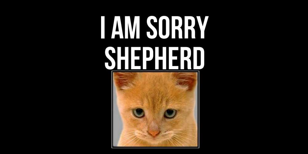 Greetings card с именем, Shepherd I am sorry рыжий грустный кот просит прощения Greetings with text for free download 