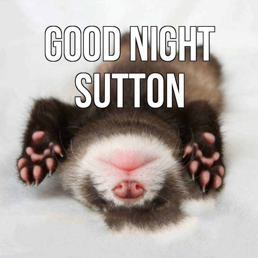 Greetings card с именем, Sutton Good night зверек Greetings with text for free download 
