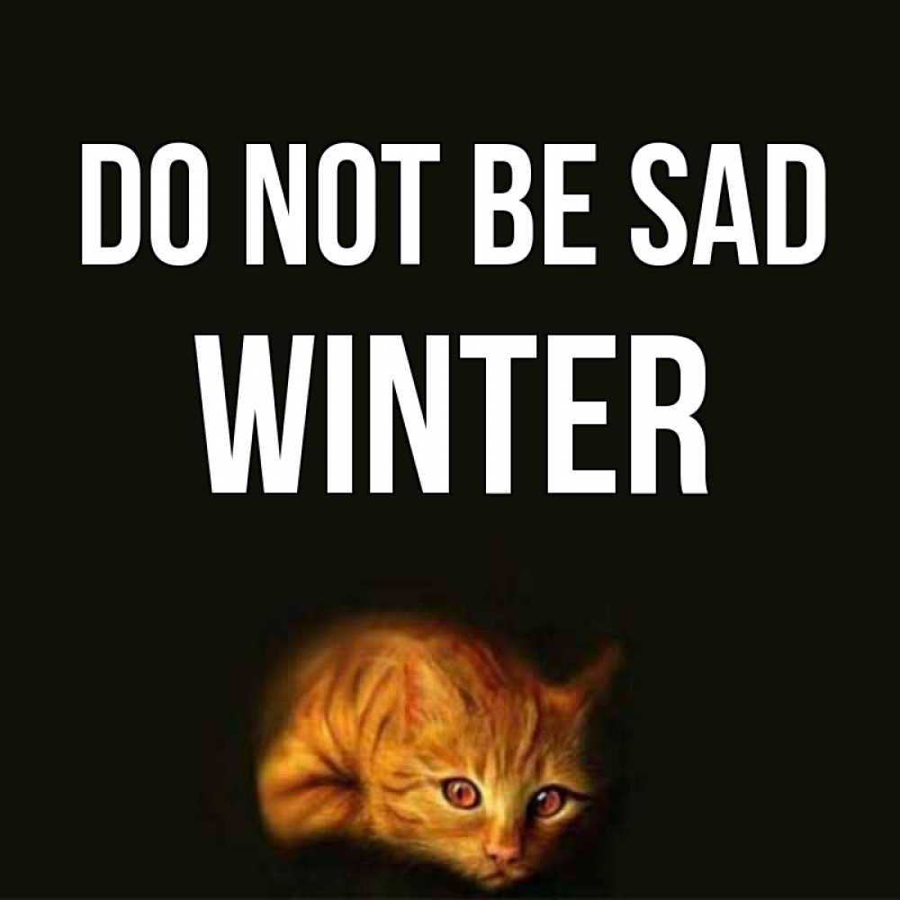 Greetings card с именем, Winter Do not be sad лежащий кот в темноте Greetings with text for free download 
