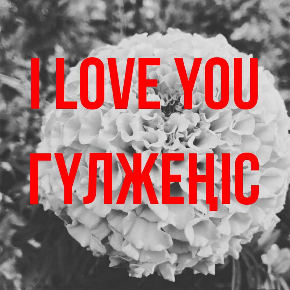 Greetings card с именем, ГҮЛЖЕҢІС I love you подпись Greetings with text for free download 