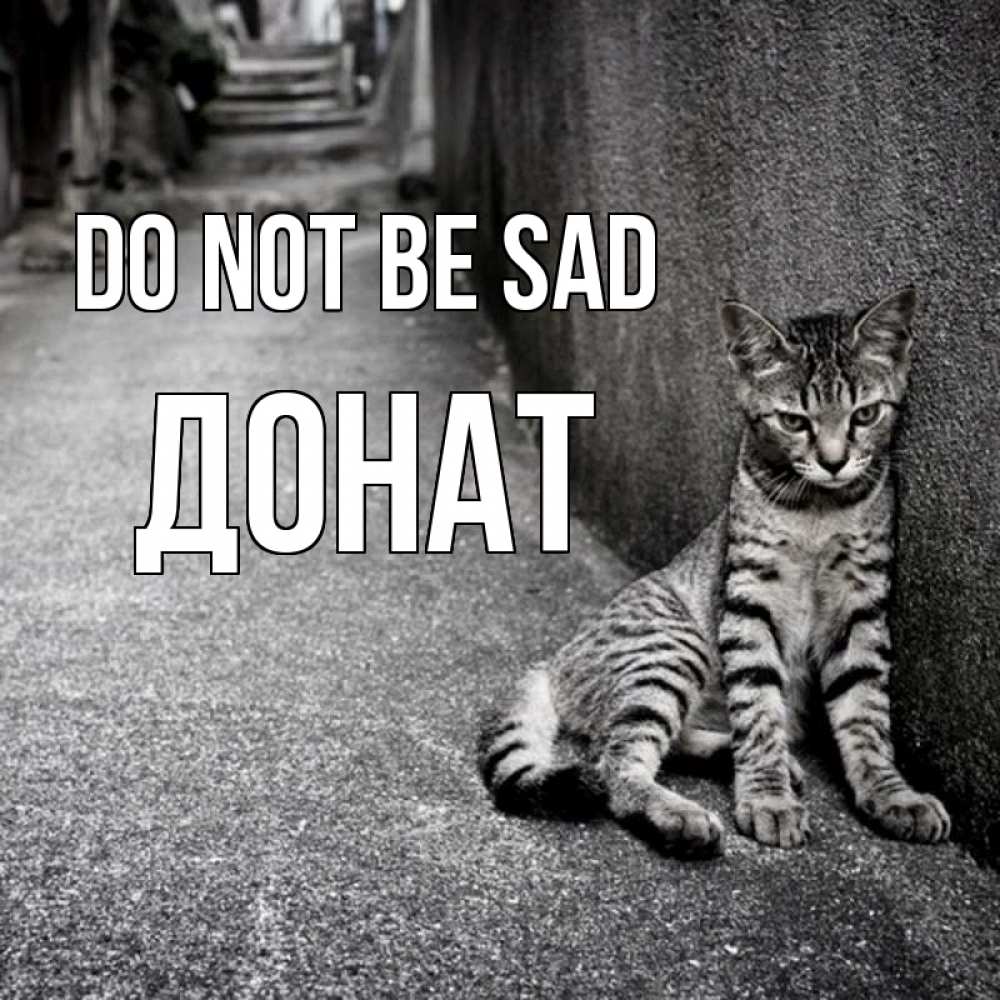 Greetings card с именем, Донат Do not be sad скучающий котик Greetings with text for free download 